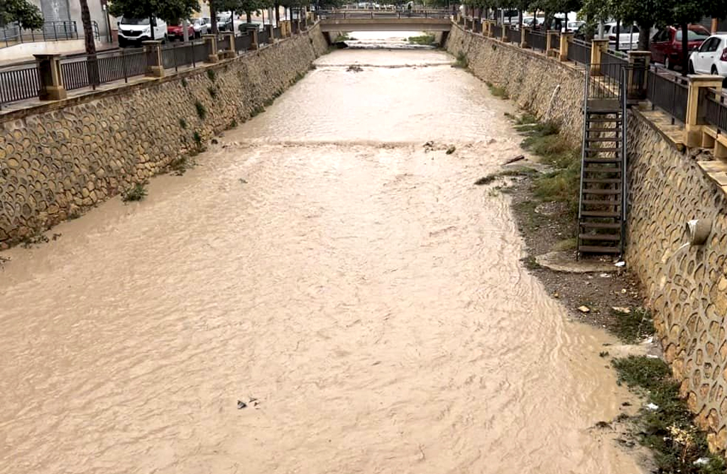 Las lluvias han sido generosas con Totana