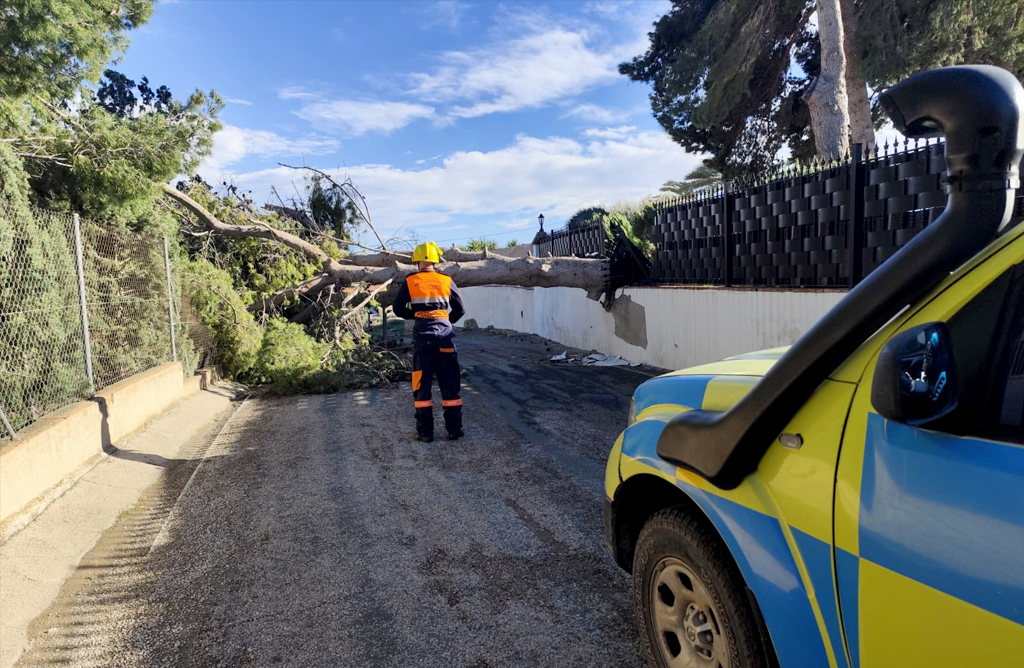Oriana deja un reguero de da�os materiales a su paso por Totana